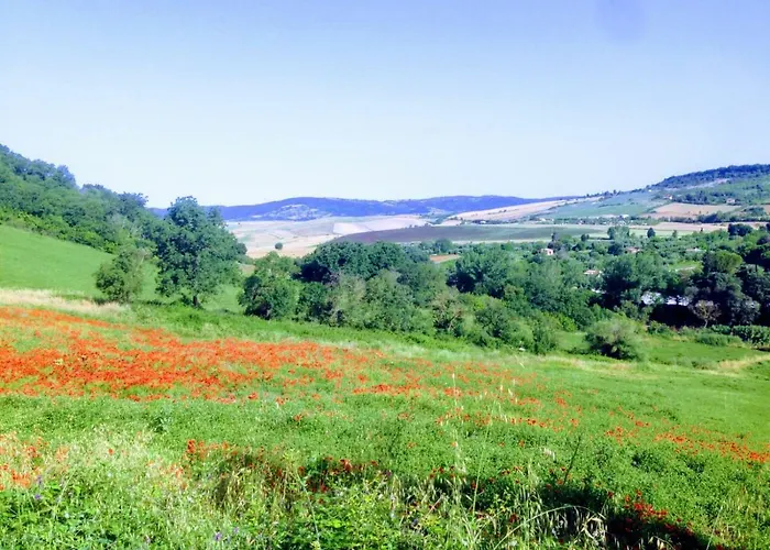 Bed & Breakfast Maremma's Dream 3*