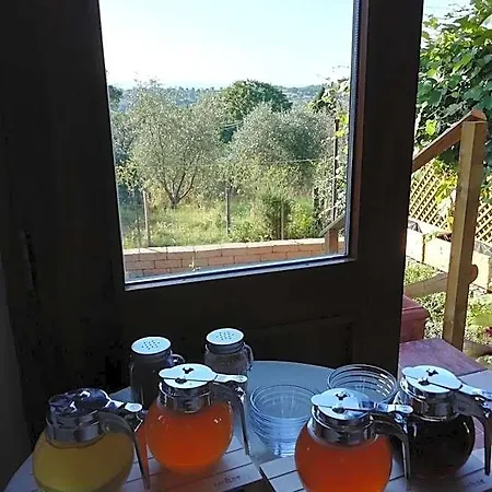 Maremma's Dream Bed & Breakfast