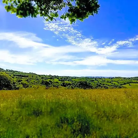 Bed & Breakfast Maremma's Dream