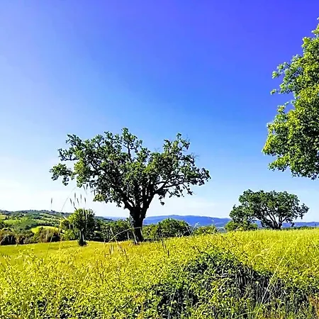 Bed & Breakfast Maremma's Dream 3*
