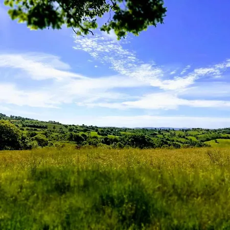 Maremma's Dream Catabbio