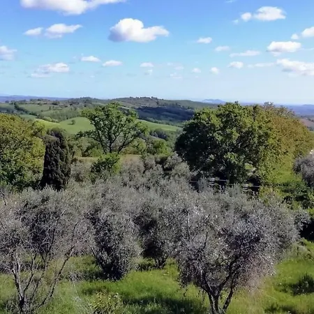 Bed & Breakfast Maremma's Dream 3*