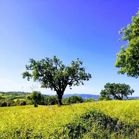 Maremma's Dream * Catabbio