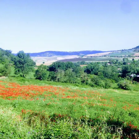 לינה וארוחת בוקר Maremma's Dream 3*