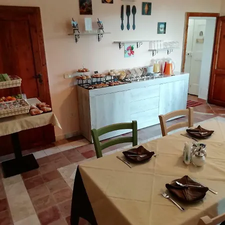 Maremma's Dream