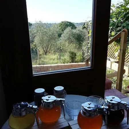Bed & Breakfast Maremma's Dream 3*