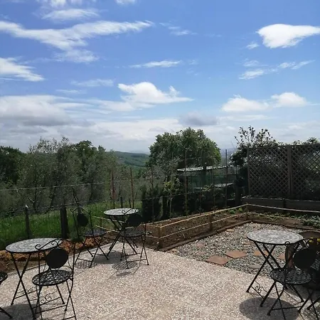 Maremma's Dream 3*