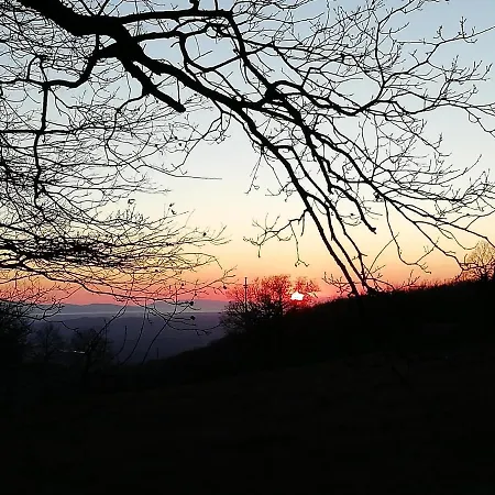 Bed & Breakfast Maremma's Dream