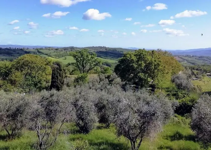 Bed & Breakfast Maremma's Dream 3*